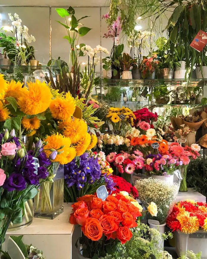Fleurs coupées et plantes en pot exposées dans la boutique Au Jardin d'Ava