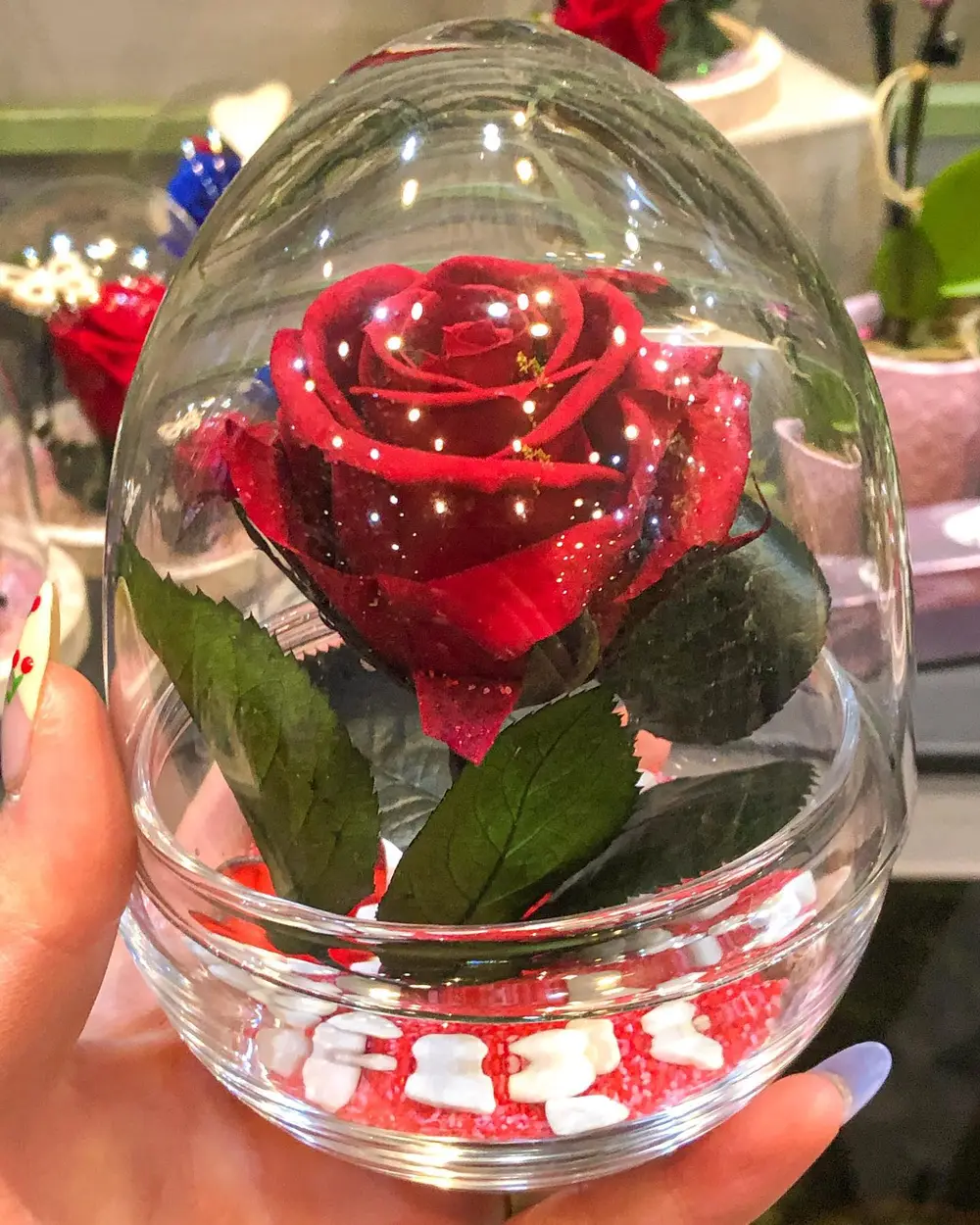 Rose éternelle rouge sous une cloche de verre en forme d'œuf