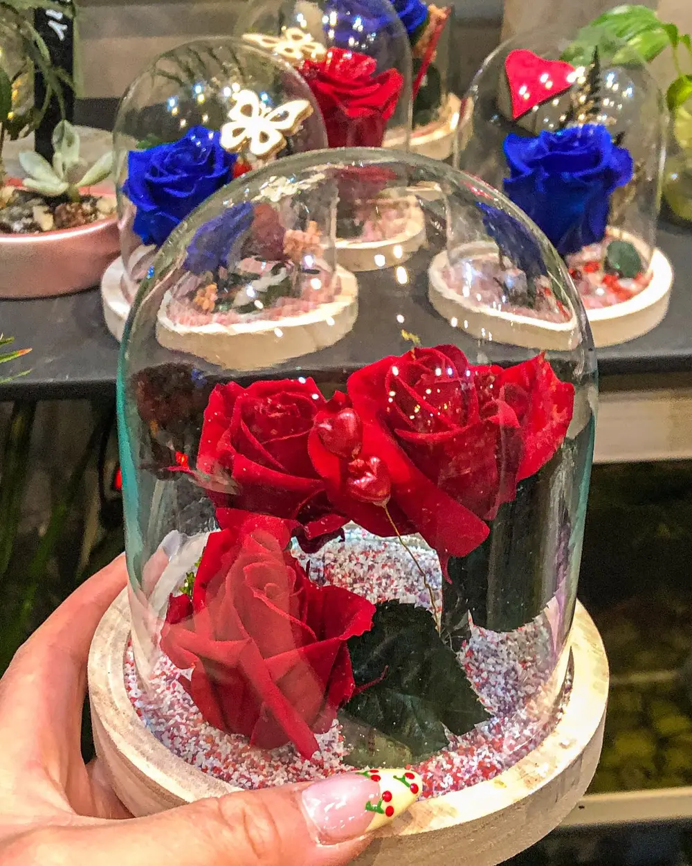 Roses éternelles rouges sous cloche de verre, avec d'autres cloches de roses rouges et bleues derrière